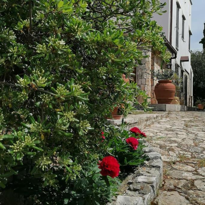 Casa Marisa Villa Vacanza Castellana Grotte Exterior foto